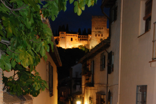 Visita el Albacín y el Sacromonte